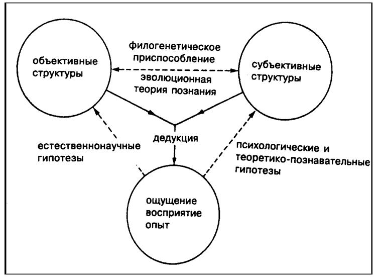 Рисунок11. Взаимодействие объективных и субъективных структур при восприятии
