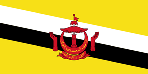 Флаг: Бруней-Даруссалам