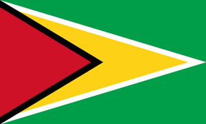 Флаг: Кооперативная Республика Гайана