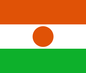 Флаг: Республика Нигер