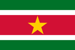 Флаг: Республика Суринам